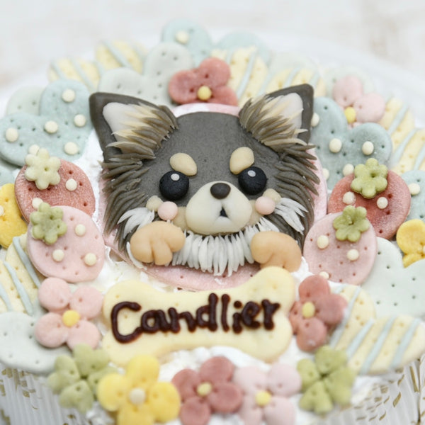 似顔絵ケーキ/HEART&FLOWER【ブルー】 – DOG CAKE Candlier