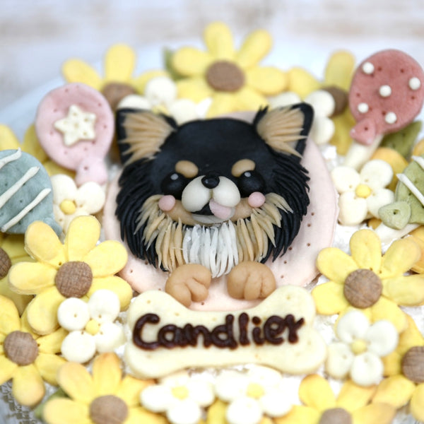 似顔絵ケーキ/SEASON【夏/ひまわり】 – DOG CAKE Candlier