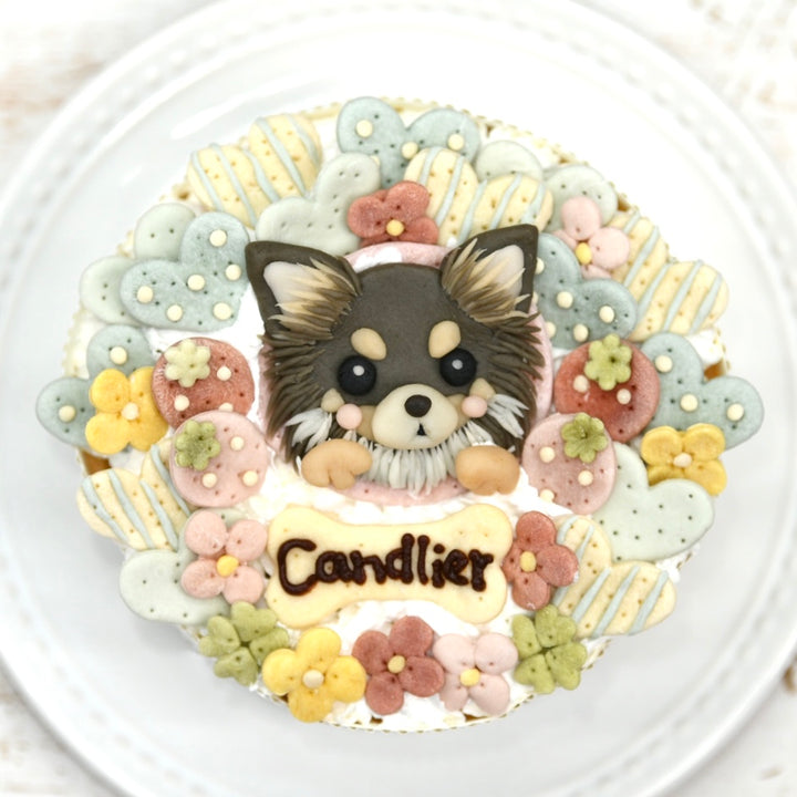 似顔絵ケーキ – DOG CAKE Candlier