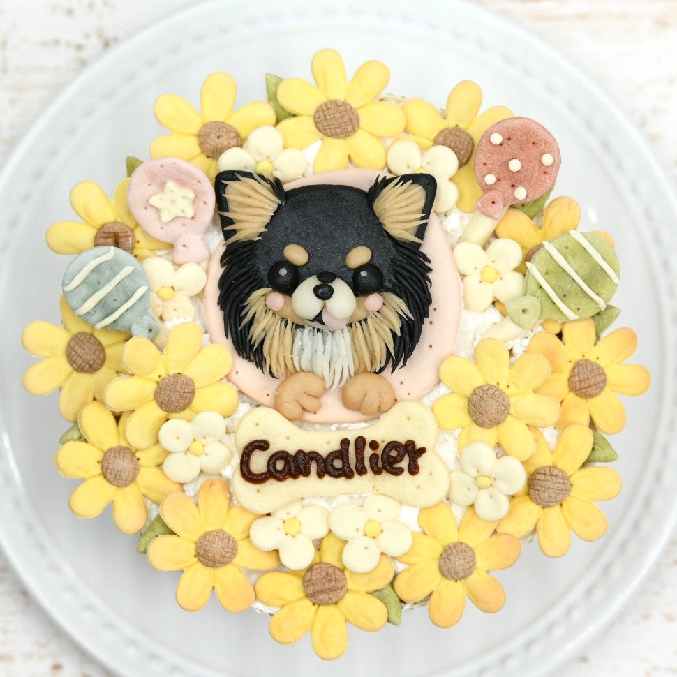 似顔絵ケーキ/SEASON【夏/ひまわり】 – DOG CAKE Candlier